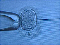 Embryo research